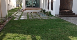 Garden Design