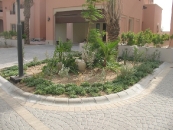 Garden Design