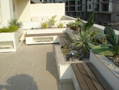 Roof Garden