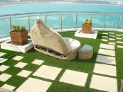 Roof Garden